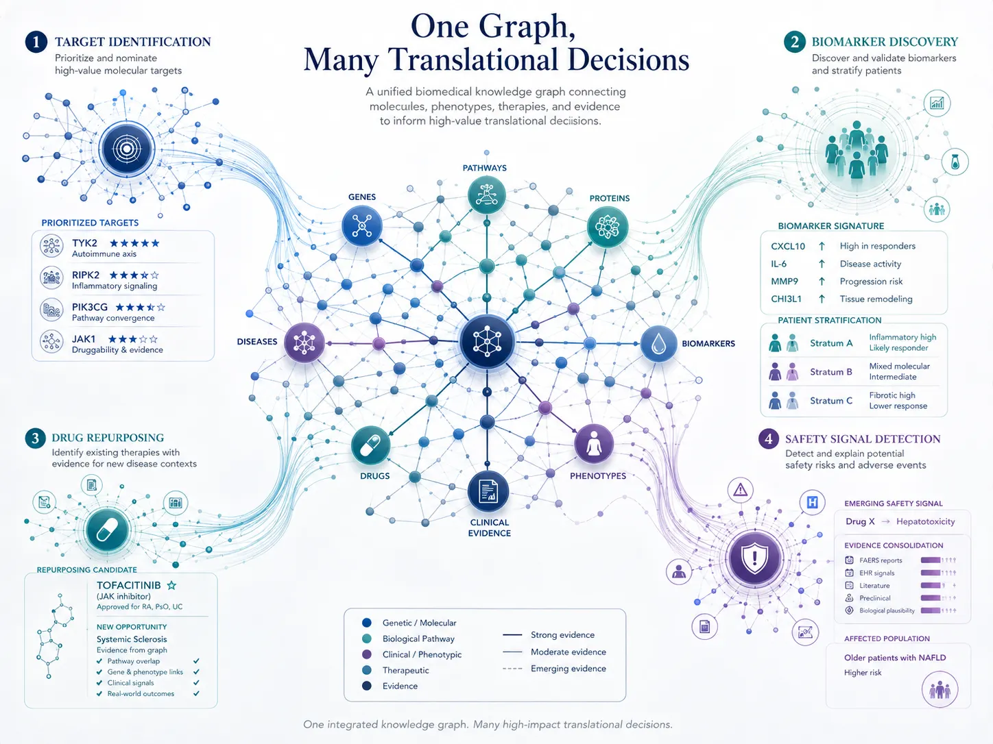 Translational Medicine Applications of Knowledge Graphs